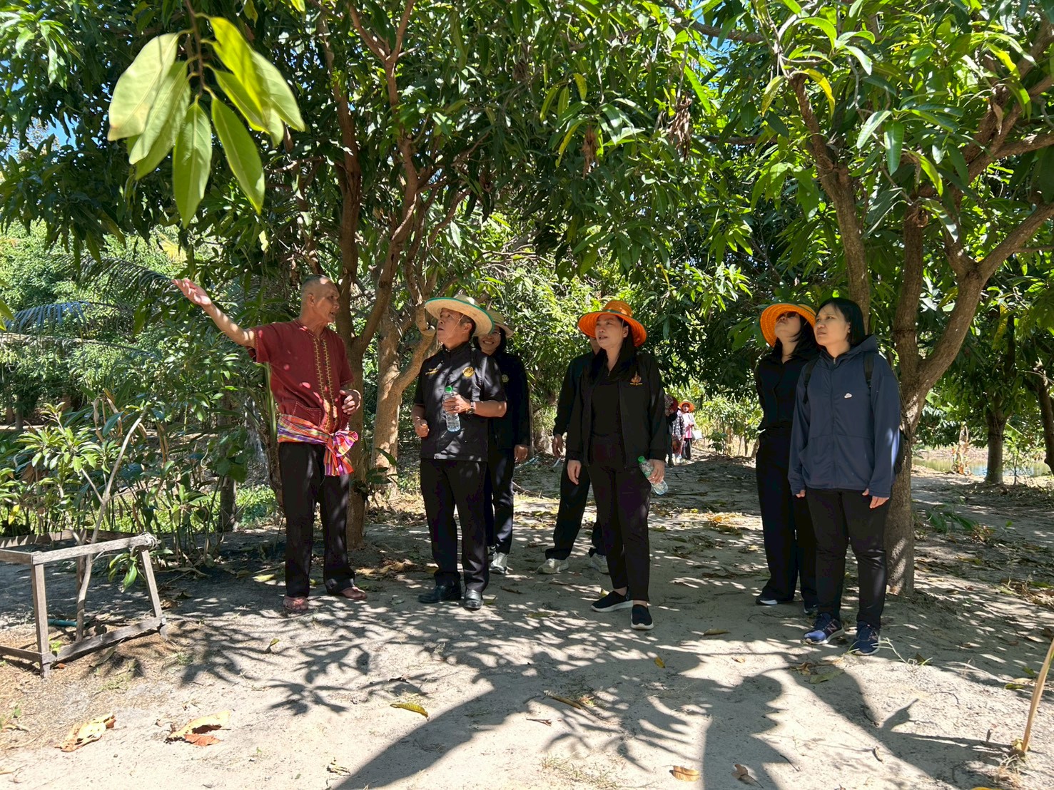 title - ผู้ตรวจราชการ ส.ป.ก. ประชุมตรวจราชการและติดตามความก้าวหน้าผลการดำเนินงานตามแผนการตรวจราชการของผู้ตรวจราชการสำนักงานการปฏิรูปที่ดินเพื่อเกษตรกรรม  ประจำปีงบประมาณ พ.ศ. 2569 รอบที่ 1 เขตตรวจราชการที่ 14 จังหวัดยโสธร